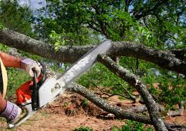 Best Utility Line Clearance  in Biltmore Forest, NC